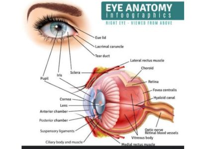 eyes photo (1)